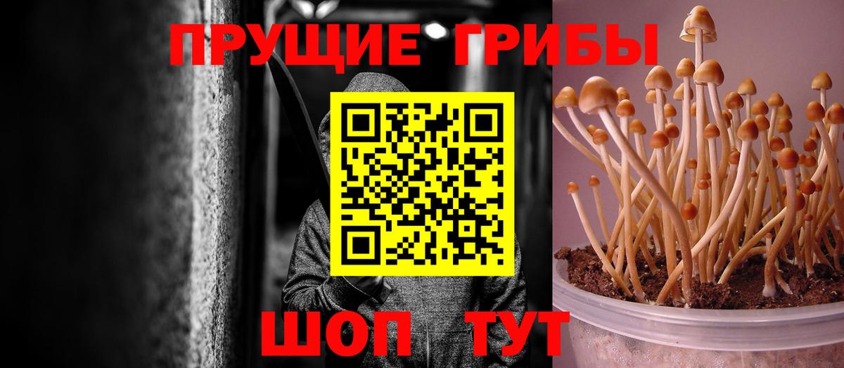 Балтийск  Галлюциногенные грибы Psilocybine cubensis  Псилоцибиновые грибы мухоморы  Вход с VPN 