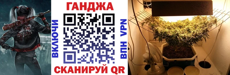 где купить наркоту  Балтийск  Бошки Шишки семена 